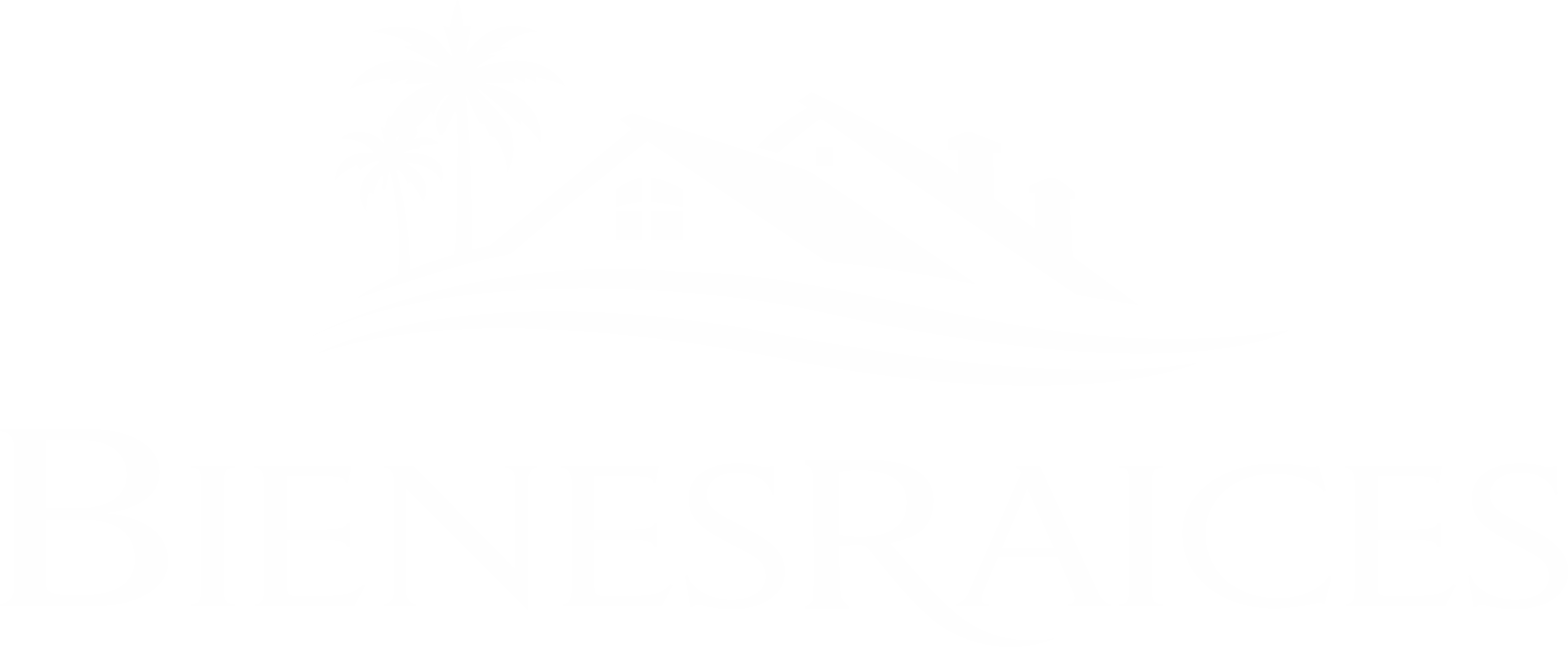 Bienes Raices Las villas 